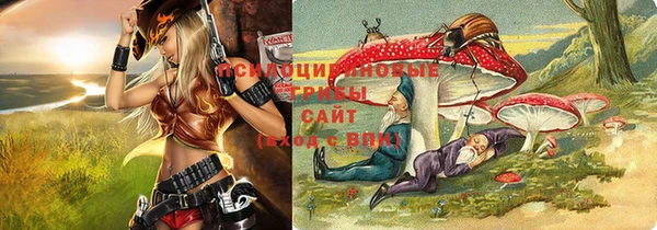 соль ск Верея