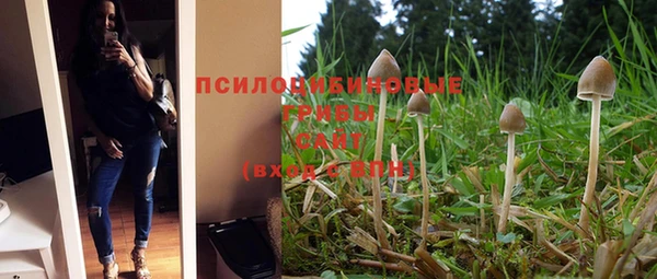 винт Верхний Тагил