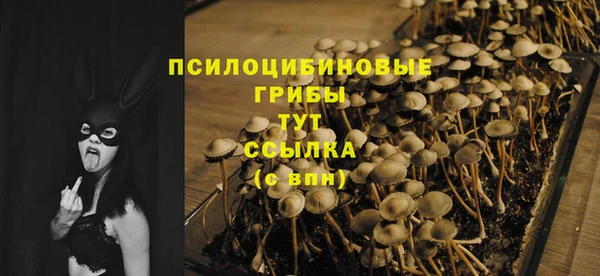 винт Верхний Тагил